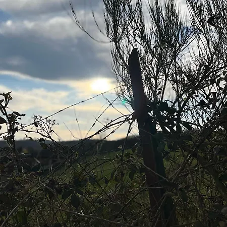 Ringzeit-lodge * Herresbach