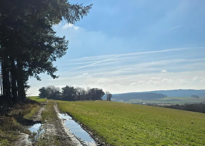 Ringzeit-lodge Апартаменты Herresbach