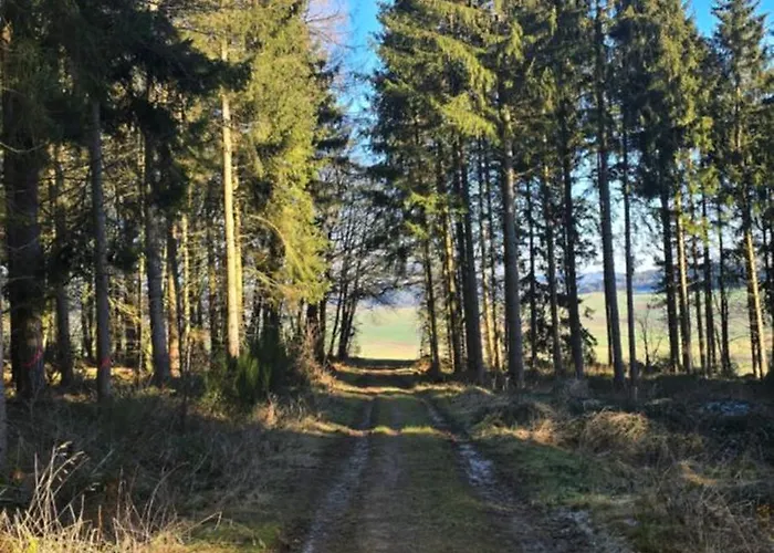 Апартаменты Ringzeit-lodge